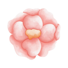 Watercolor flower, Hand-drawn illustration, Spring season