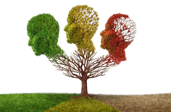 Brain atrophy and aging of the mind or memory loss due to Dementia and Alzheimer's disease or cognitive decline as fall trees in the shape of a human head