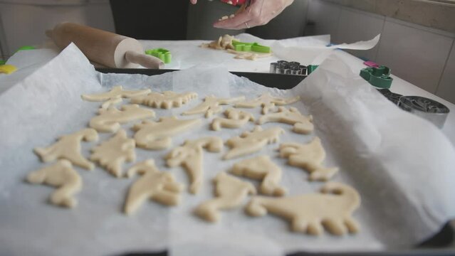 Baking cookies - female hands lay out the dough in the shape of dinosaurs on a baking sheet