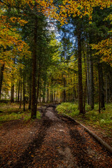 Mountain path in high mountains	