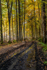Mountain path in high mountains	