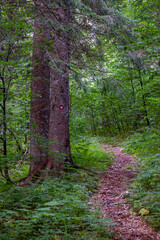 Mountain path in high mountains	