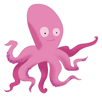 isolated octopus illustration