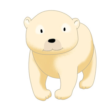 isolated polar bear illustration
