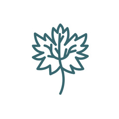 mapple leaf icon. Filled mapple leaf, decoration icon from ecology collection. Flat glyph vector isolated on white background. Editable mapple leaf symbol can be used web and mobile