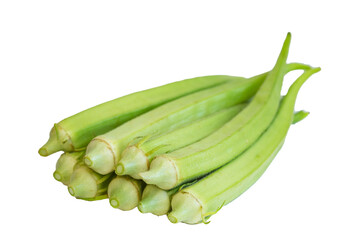 green okra( Okro Abelmoschus esculentus ) isolated on white