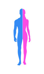 Man woman silhouettes. Pink Blue. 