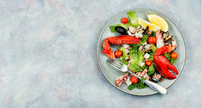 Oktopussalat Bilder Durchsuchen 23,876 Archivfotos,