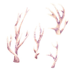 A set of sea underwater corals. Watercolor illustration isolated on white background