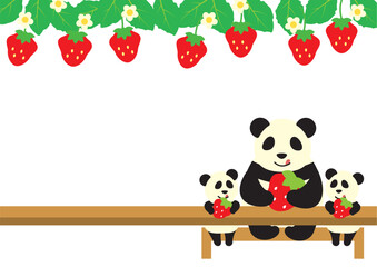 いちごを食べるパンダママと双子パンダ_苺フレームあり