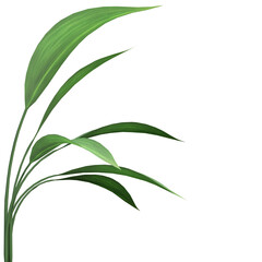 Green leaves frame on transparent background, 3d render illustration.