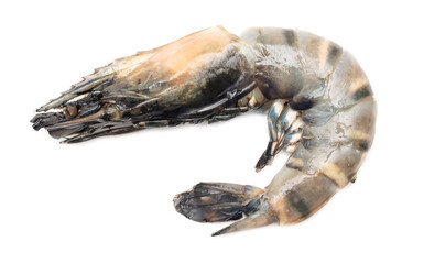 King prawns isolated on white background.