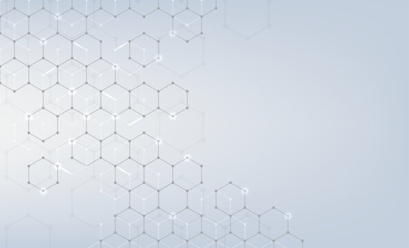 singora photos, images, assets | Adobe Stock