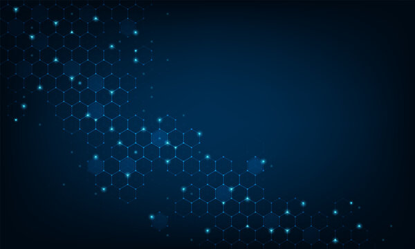 singora photos, images, assets | Adobe Stock