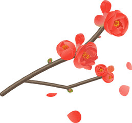 木瓜（ボケ）の花と蕾のついた枝、花びら