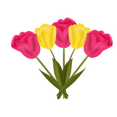 bouquet of beautiful tulips