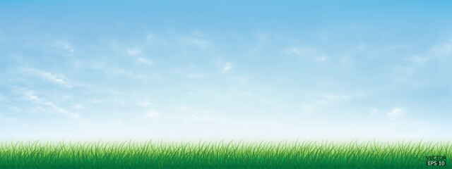 Fototapeta na wymiar Fresh spring green grass under beautiful blue sky. Nature background with green grass and blue sky. Vector illustration.