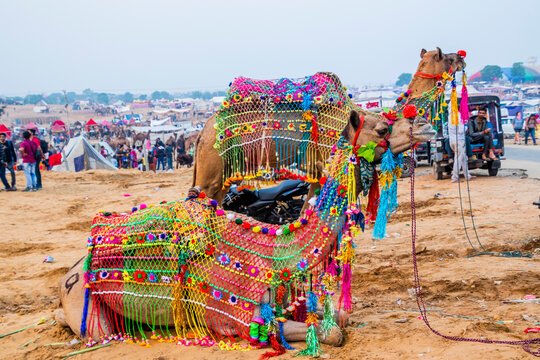 Various views of Pushkar in Rajasthan