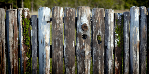Old weathered wooden garden fence background texture. Generative AI