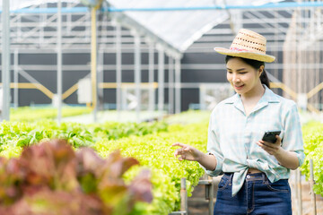 Friendly asian female farmer vegetable garden owner smiling and holding smartphone taking order name of organic vegetables hydroponics produce farm nursery garden greenhouse agribusiness concept