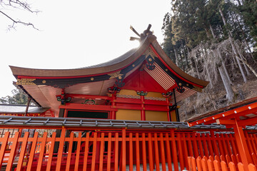 Fototapeta na wymiar 金櫻神社　本殿