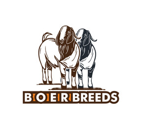 ELEGANt BOER GOAT STANDING LOGO, silhouette of great sheep vector illustrations