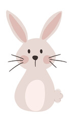 Cute rabbit