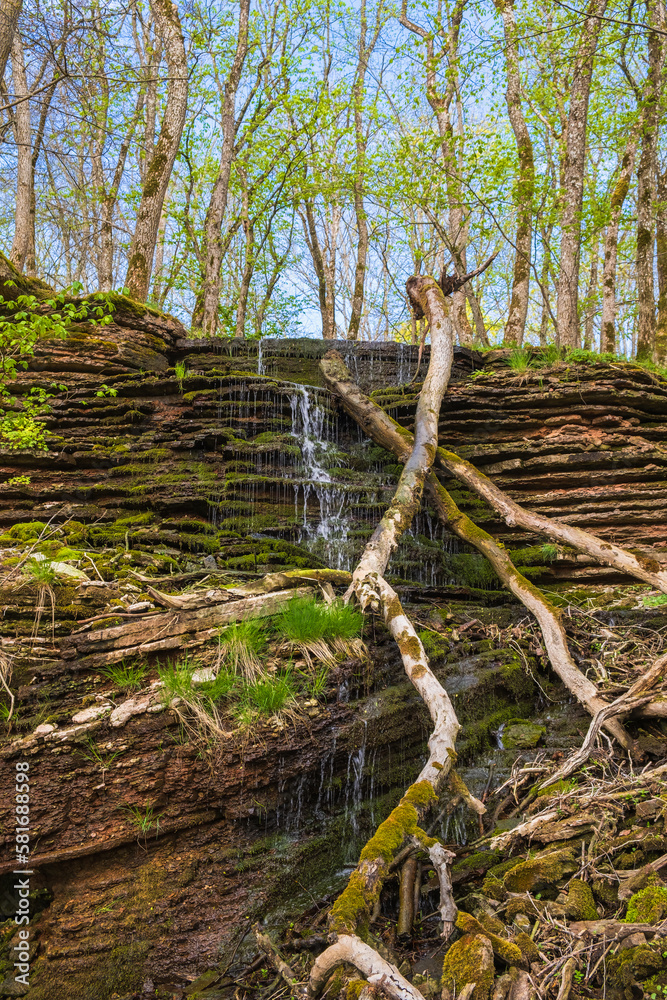 Poster Rock face with a small waterfall and fallen trees