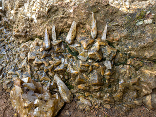 precious crystal quartz stone vein