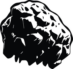 Asteroid Logo Monochrome Design Style
