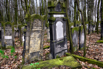 Lodz, Poland, Europe, biggest Jewish cemetery in Europe with over 180 000 graves and 65 000...