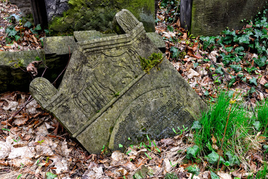 Lodz, Poland, Europe, biggest Jewish cemetery in Europe with over 180 000 graves and 65 000 tombstones, during WW II was the site of many mass executions of Jews from Nazi Ghetto