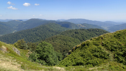 Fototapeta premium Paysage estival dans le massif des Vosges