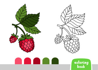 Coloring Book for Kids Raspberry Page for Books Magazines Coloring Vector Illustration