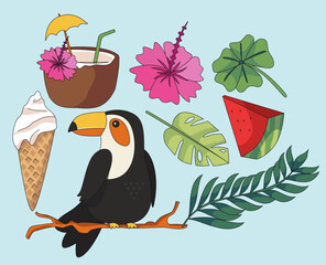 Set Collection of Bird, Ice Cream, Coconut, Tropical Leaves elements
