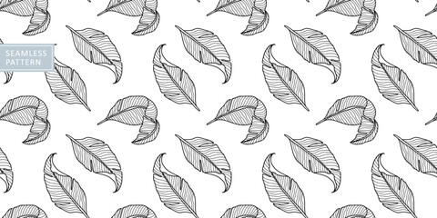 Vector seamless black and white pattern with feathers for textiles, wrapping paper, covers, backgrounds
