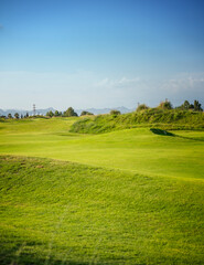 Bright summer landscape. Perfect green lawn lawn and blue sky. Vertical shot