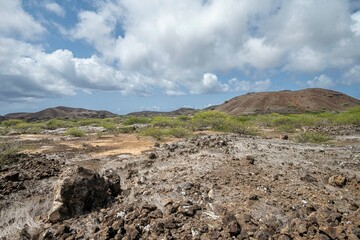 Volcanic countryside with stones, sand and bushes, The Ascension island