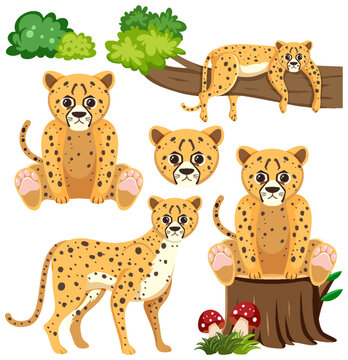 Set of cute cheetah cartoon character