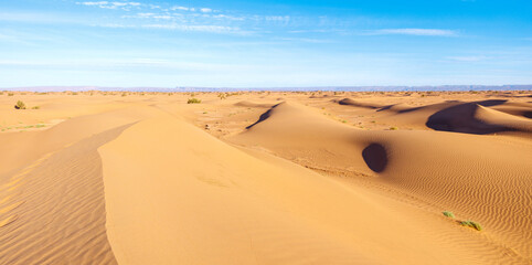 Fototapeta na wymiar sand dune in the Sahara- Morocco
