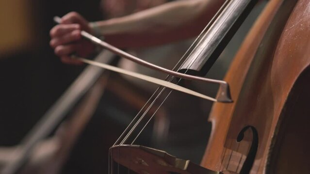 A double bass player in slow motion playing an acoustic double bass with a bow during a classical symphony orchestra rehearsal