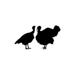 Fototapeta na wymiar Pair of Turkey Silhouette for Art Illustration, Pictogram or Graphic Design Element. The Turkey is a large bird in the genus Meleagris. Vector Illustration