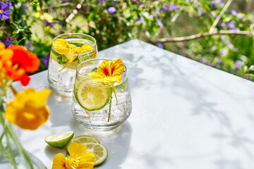 Iced lemonade with edible nasturtium flowers, lime and mint leaves. Refreshing summer drink. Healthy organic summer soda drink. Detox water. Diet unalcolic coctail.