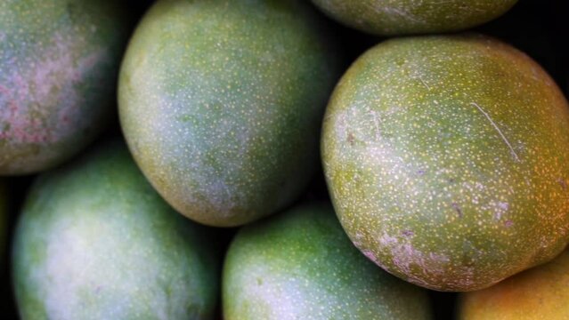 Mango in the market. Exotic fruit mango harvest.