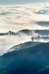 Fototapeta premium Fanciful scenery of an early morning when the sun rises over the Dai Lao mountain range, Bao Loc district, Lam Dong province, Vietnam
