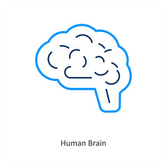human Brain