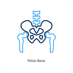 pelvic Bone
