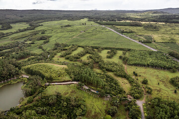 Fototapeta na wymiar Aerial landscape view of tea plantation in Mauritius highlands, located countryside 