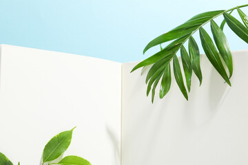 Concept of summertime, leaves, summer and nature concept