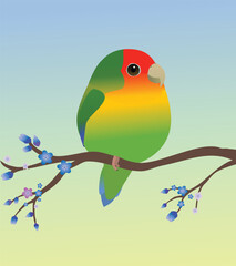 A very cute Rosy-faced lovebird in the shape of an egg. Soft blue green gradient background. The bird is perched on a branch with blue blossom.